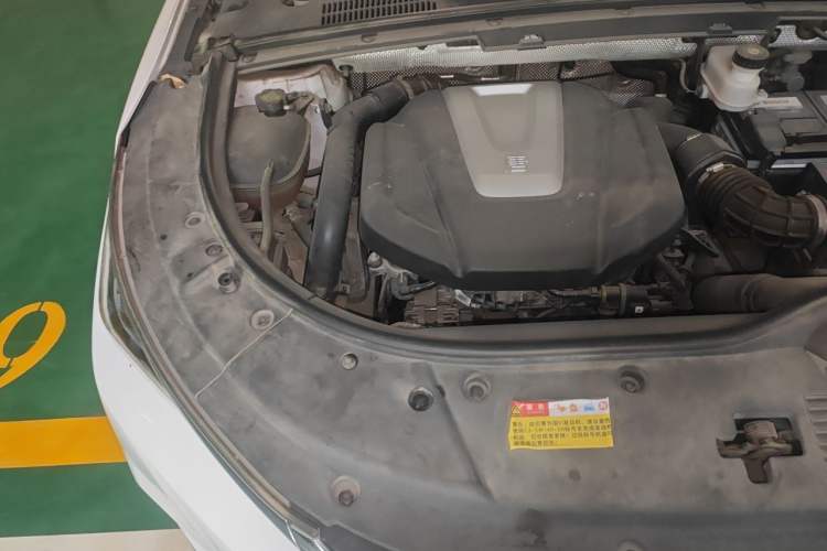 Used BYD Tang 2019 2.0T Automatic SmartConnect Luxury Edition 5 Seats China VI Standard Engine Bay Right