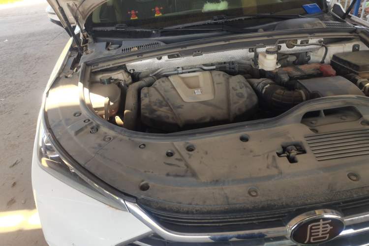 Used BYD Tang 2019 2.0T Automatic SmartConnect Luxury 7-Seater China VI Standard Engine Bay Right