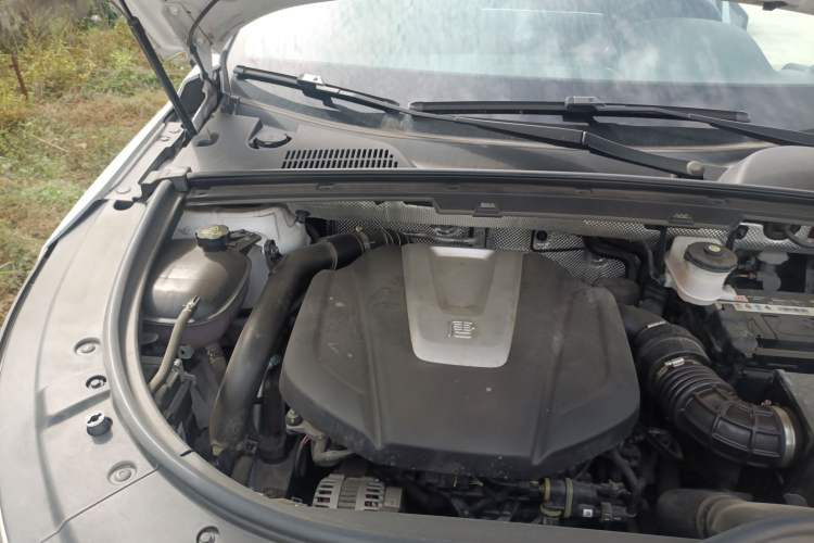 Used BYD Tang 2019 2.0T Automatic SmartConnect Prestige 5-Seater China VI Standard Engine Bay Right