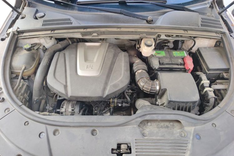 Used BYD Tang 2019 2.0T Automatic SmartConnect Prestige 5-Seater China VI Standard Engine Bay