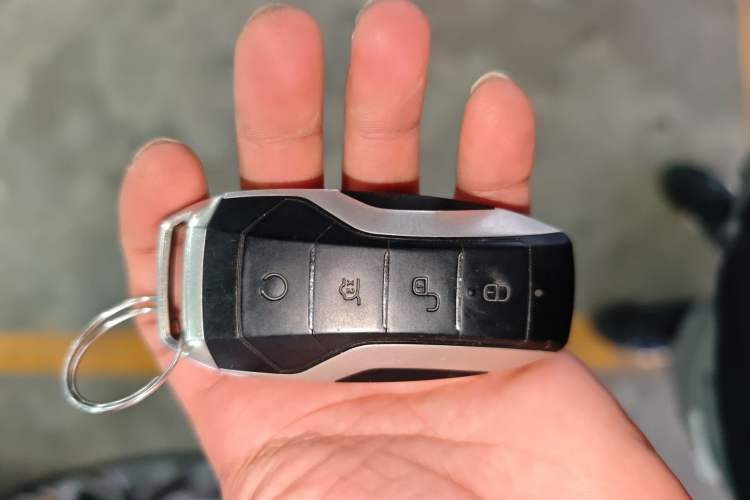 Used BYD Tang 2019 2.0T Automatic SmartConnect Luxury 7-Seater China VI Standard Interior 1