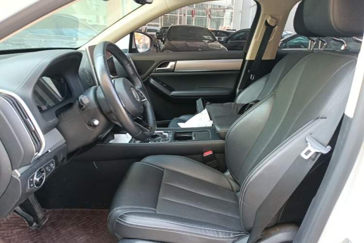 Used BYD Tang 2019 2.0T Automatic SmartConnect Luxury 7-Seater China VI Standard Left Front Seat