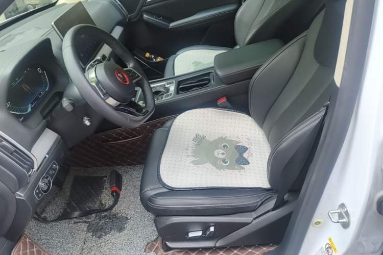 Used BYD Tang 2019 2.0T Automatic SmartConnect Luxury 7-Seater China VI Standard Left Front Seat