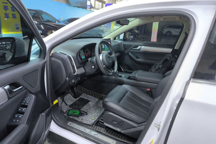 Used BYD Tang 2019 2.0T Automatic SmartConnect Prestige 7-Seater China VI Standard Left Front Seat