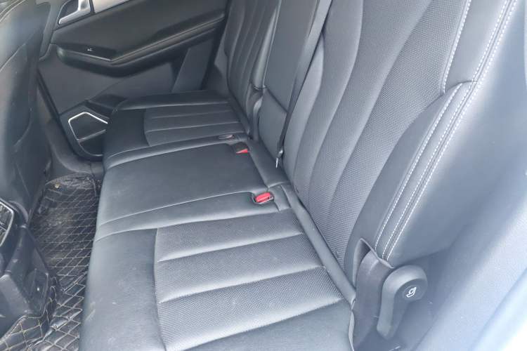 Used BYD Tang 2019 2.0T Automatic SmartConnect Luxury Edition 5 Seats China VI Standard Left Rear Seat