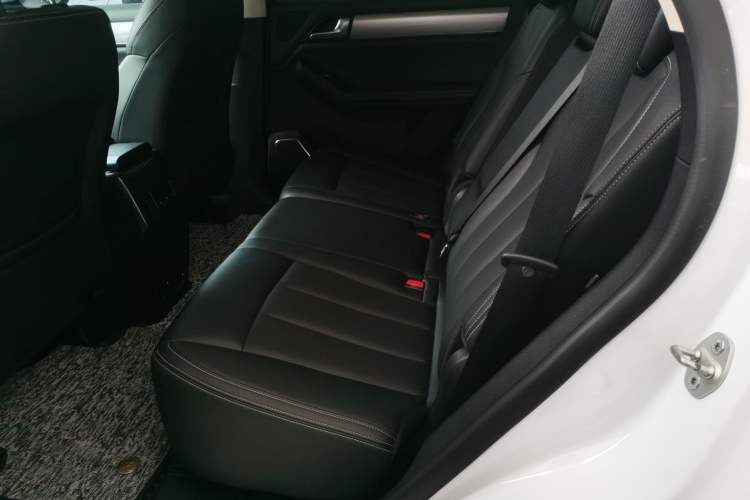 Used BYD Tang 2019 2.0T Automatic SmartConnect Prestige 7-Seater China VI Standard Left Rear Seat