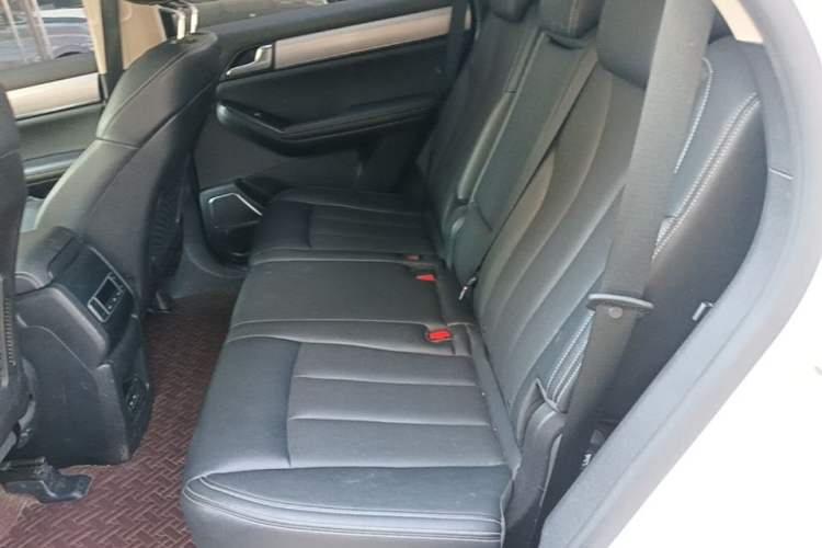Used BYD Tang 2019 2.0T Automatic SmartConnect Luxury 7-Seater China VI Standard Left Rear Seat