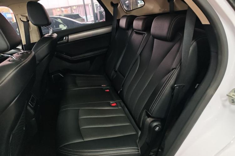 Used BYD Tang 2019 2.0T Automatic SmartConnect Luxury 7-Seater China VI Standard Left Rear Seat