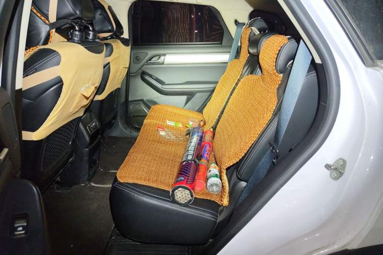 Used BYD Tang 2019 2.0T Automatic SmartConnect Luxury 7-Seater China VI Standard Left Rear Seat