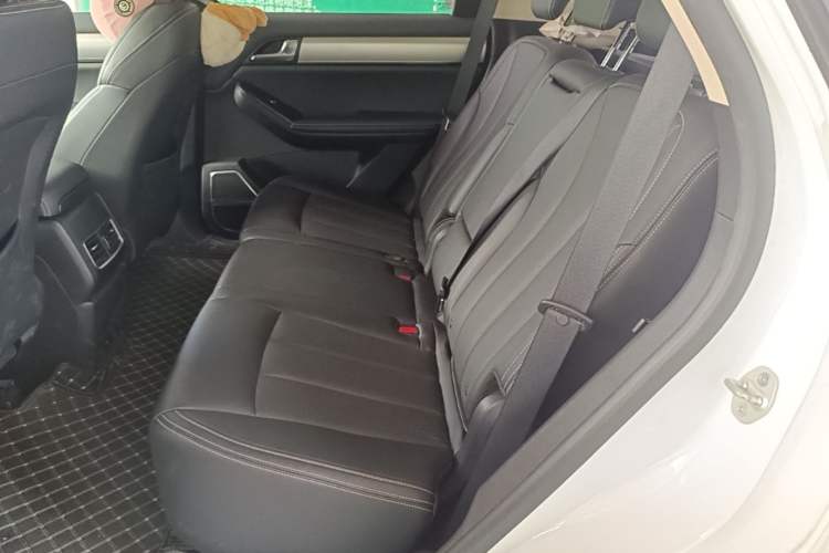 Used BYD Tang 2019 2.0T Automatic SmartConnect Prestige 5-Seater China VI Standard Left Rear Seat