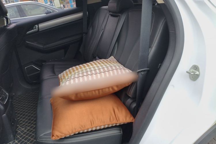 Used BYD Tang 2019 2.0T Automatic SmartConnect Luxury Edition 5 Seats China VI Standard Left Rear Seat