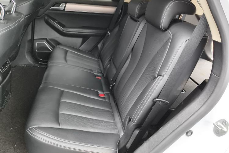 Used BYD Tang 2019 2.0T Automatic SmartConnect Luxury 7-Seater China VI Standard Left Rear Seat