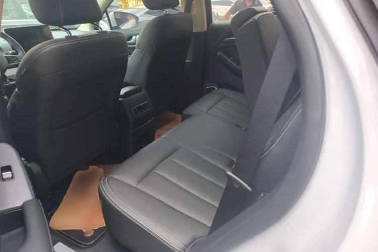 Used BYD Tang 2019 2.0T Automatic SmartConnect Prestige 7-Seater China VI Standard Left Rear Seat
