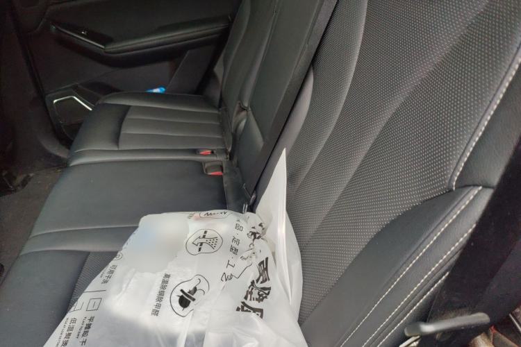 Used BYD Tang 2019 2.0T Automatic SmartConnect Prestige 7-Seater China VI Standard Left Rear Seat
