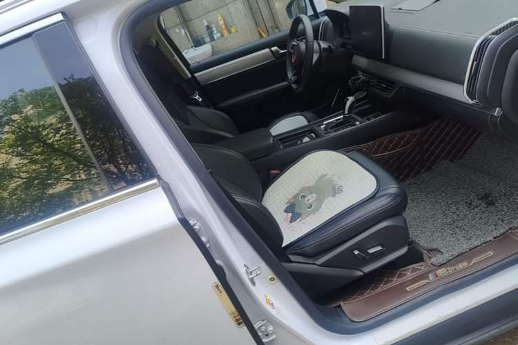 Used BYD Tang 2019 2.0T Automatic SmartConnect Luxury 7-Seater China VI Standard Right Front Seat