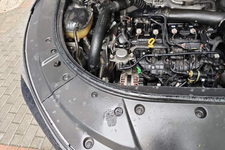 Used BYD Tang 2021 2.0T Automatic Flagship Edition Engine Bay Right