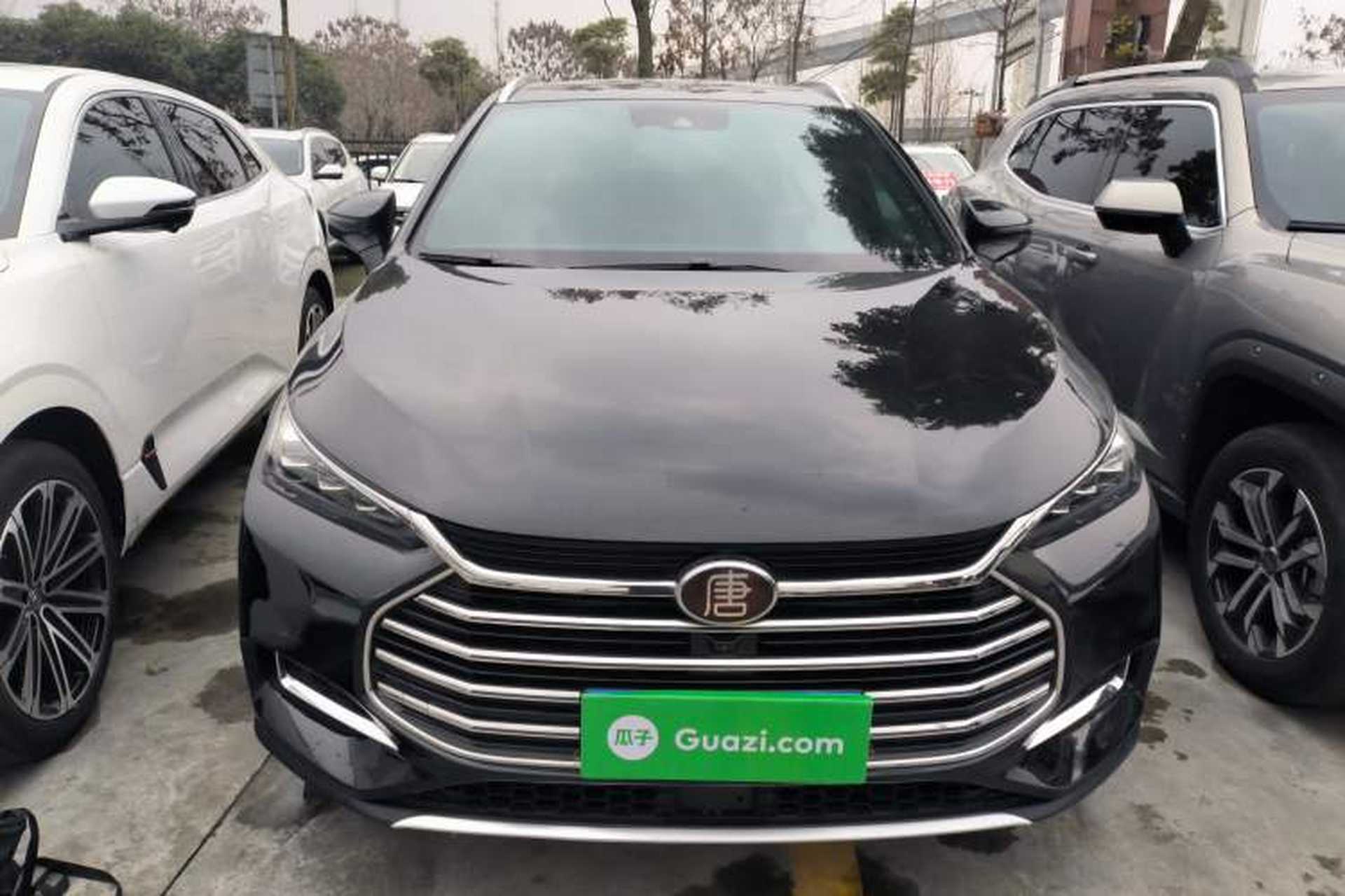 Used BYD Tang 2021 2.0T Automatic Flagship Edition Exterior 1
