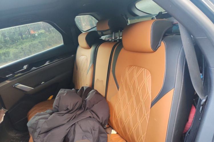 Used BYD Tang 2021 2.0T Automatic Flagship Edition Left Rear Seat