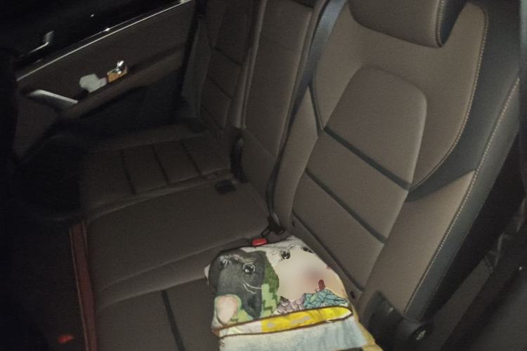 Used BYD Tang 2021 2.0T Automatic Flagship Edition Left Rear Seat