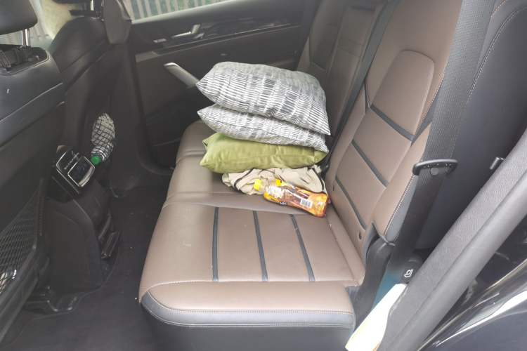 Used BYD Tang 2021 2.0T Automatic Flagship Edition Left Rear Seat