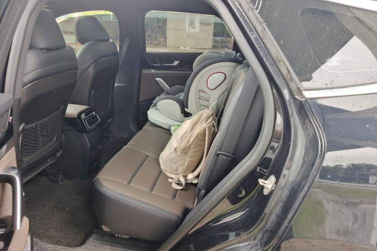 Used BYD Tang 2021 2.0T Automatic Flagship Edition Left Rear Seat