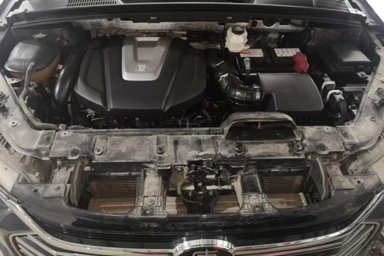Used BYD Tang 2021 2.0T Automatic Flagship Edition Engine Bay
