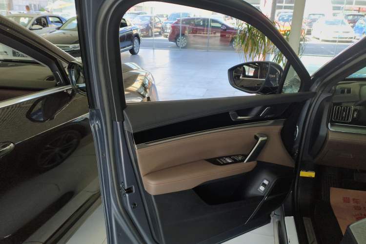Used BYD Tang 2021 2.0T Automatic Flagship Edition Left Front Door Interior