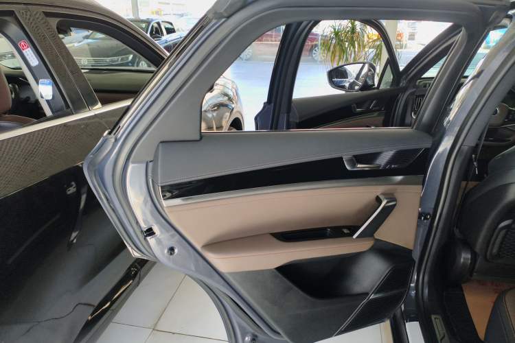 Used BYD Tang 2021 2.0T Automatic Flagship Edition Left Rear Door Interior