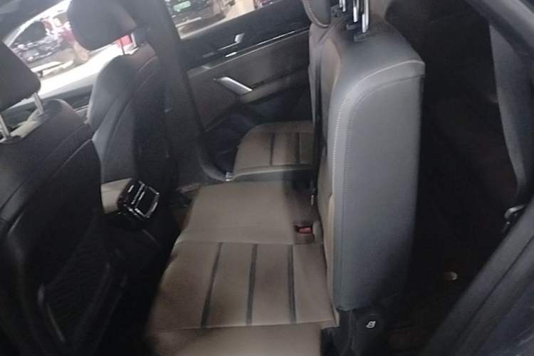Used BYD Tang 2021 2.0T Automatic Flagship Edition Left Rear Seat