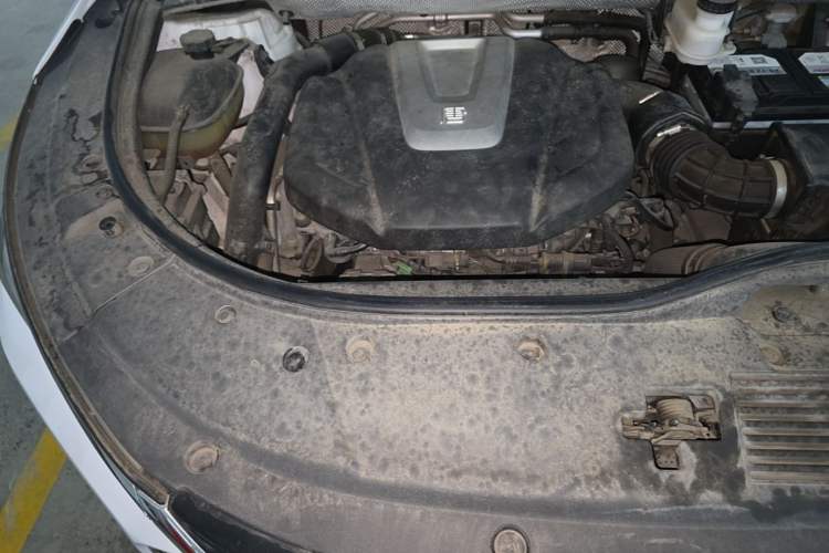 Used BYD Tang 2021 2.0T Automatic Flagship Edition Engine Bay Right