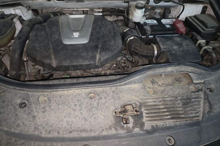 Used BYD Tang 2021 2.0T Automatic Flagship Edition Engine Bay
