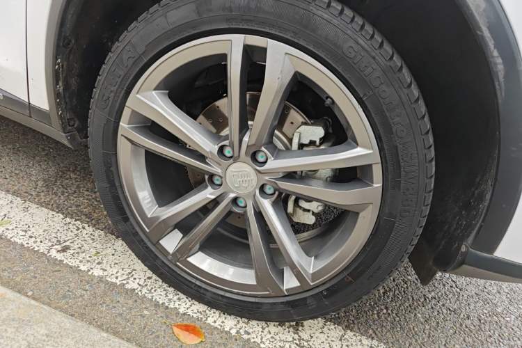 Used BYD Tang 2021 2.0T Automatic Flagship Edition Exterior 1