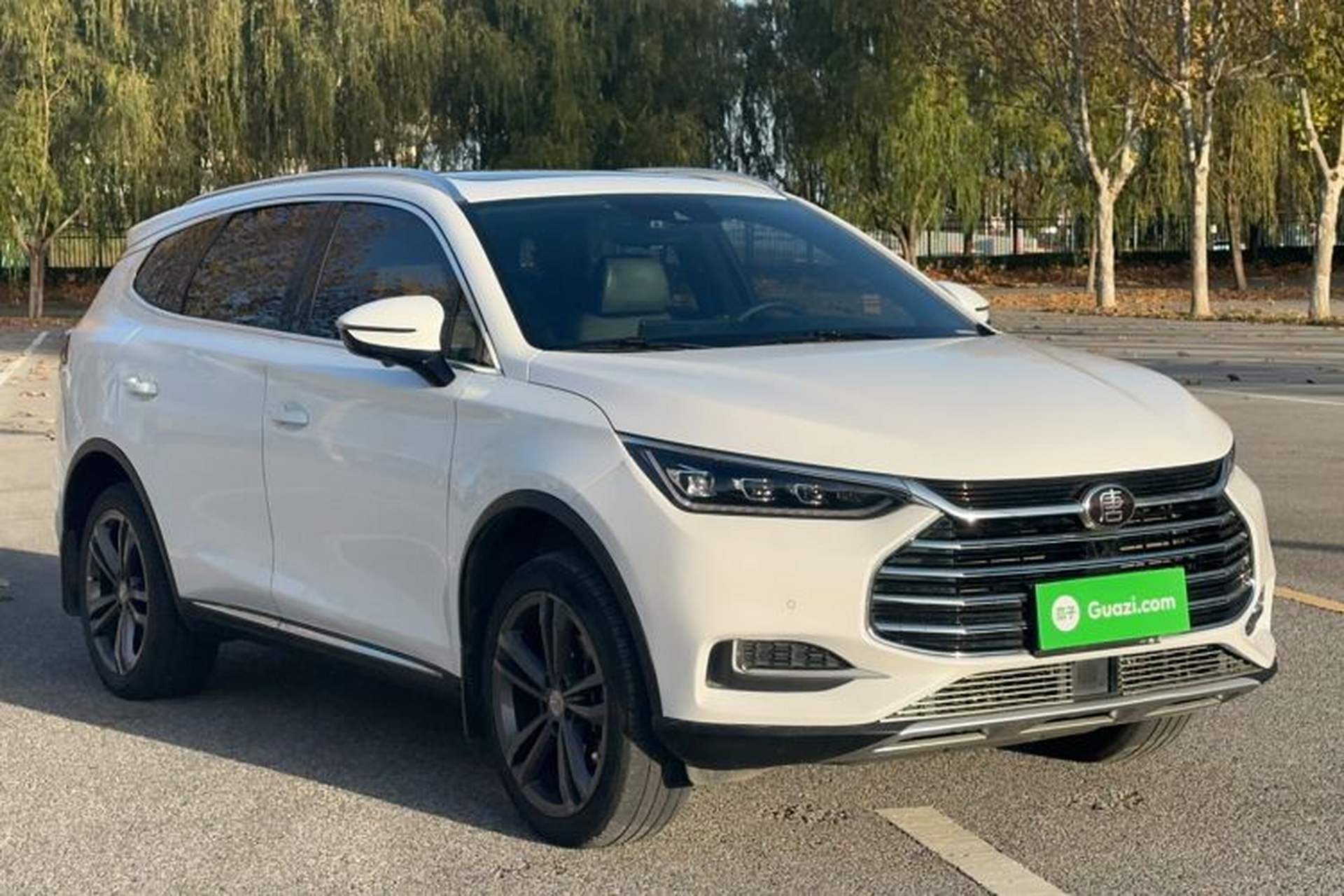 Used BYD Tang 2021 2.0T Automatic Flagship Edition Exterior 2