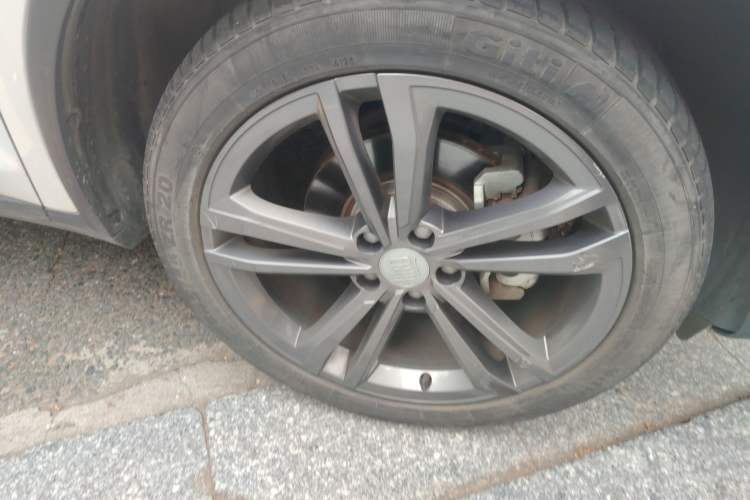 Used BYD Tang 2021 2.0T Automatic Flagship Edition Exterior 7