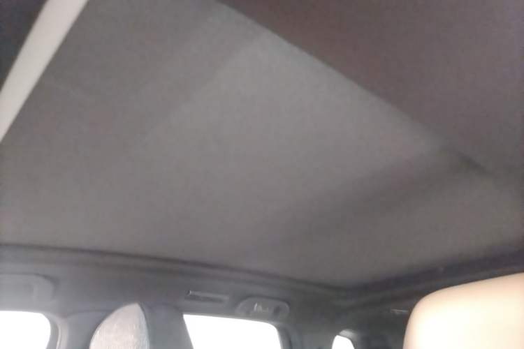 Used BYD Tang 2021 2.0T Automatic Flagship Edition Headliner