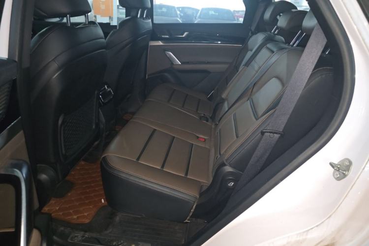 Used BYD Tang 2021 2.0T Automatic Flagship Edition Left Rear Seat