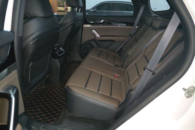 Used BYD Tang 2021 2.0T Automatic Flagship Edition Left Rear Seat