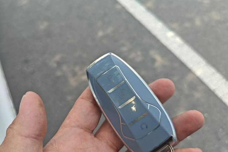 Used BYD Tang 2021 2.0T Automatic Flagship Edition Vehicle Key