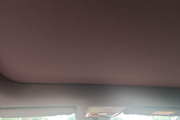 Used BYD Tang L 2025 DM 200KM Four-Wheel Drive LiDAR Flagship Model Headliner