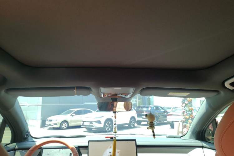 Used BYD Tang L 2025 DM 200KM Four-Wheel Drive LiDAR Flagship Model Headliner