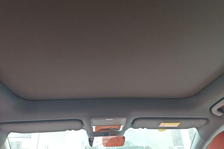 Used BYD Tang L 2025 DM 200KM Four-Wheel Drive LiDAR Flagship Model Headliner
