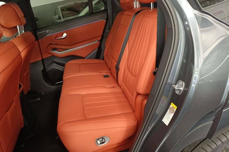 Used BYD Tang L 2025 EV 600KM All-Wheel-Drive LiDAR Flagship Model Left Rear Seat