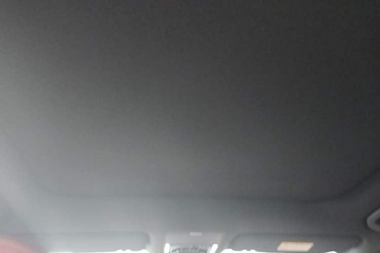 Used BYD Tang L 2025 DM 200KM Four-Wheel Drive LiDAR Flagship Model Headliner