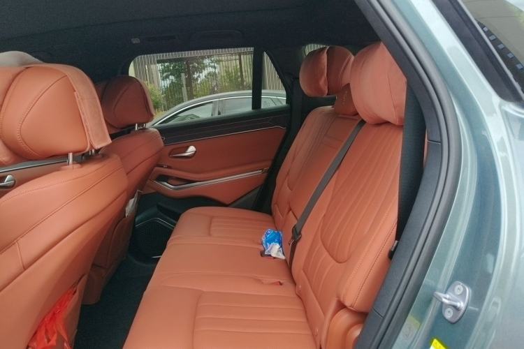 Used BYD Tang L 2025 EV 600KM All-Wheel-Drive LiDAR Flagship Model Left Rear Seat