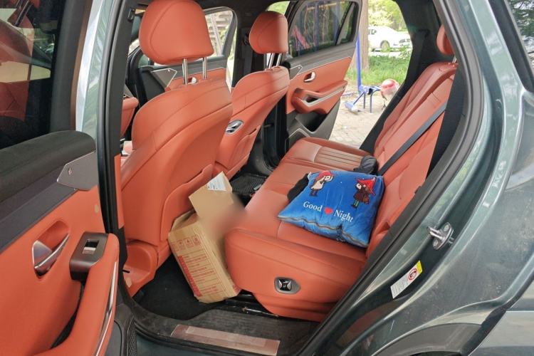 Used BYD Tang L 2025 EV 600KM All-Wheel-Drive LiDAR Flagship Model Left Rear Seat