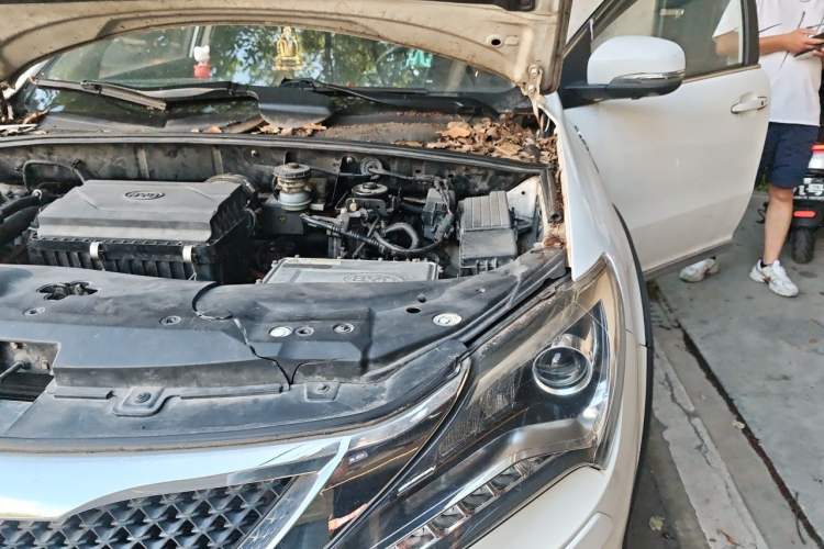Used BYD Tang New Energy 2015 2.0T Four-Wheel-Drive Flagship Model Engine Bay Left