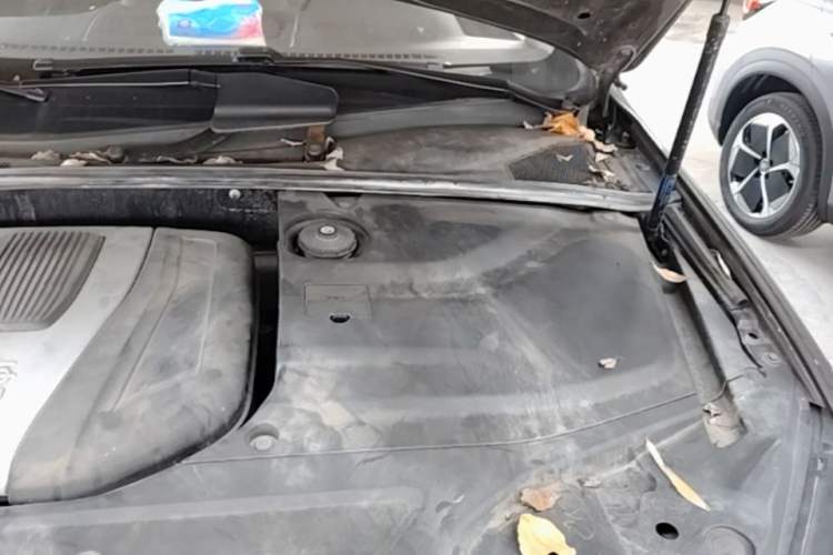 Used BYD Tang New Energy 2017 2.0T Tang 100 Engine Bay Left