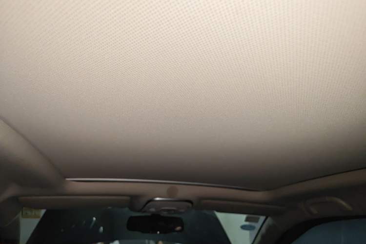 Used BYD Tang New Energy 2017 2.0T Tang 100 Headliner