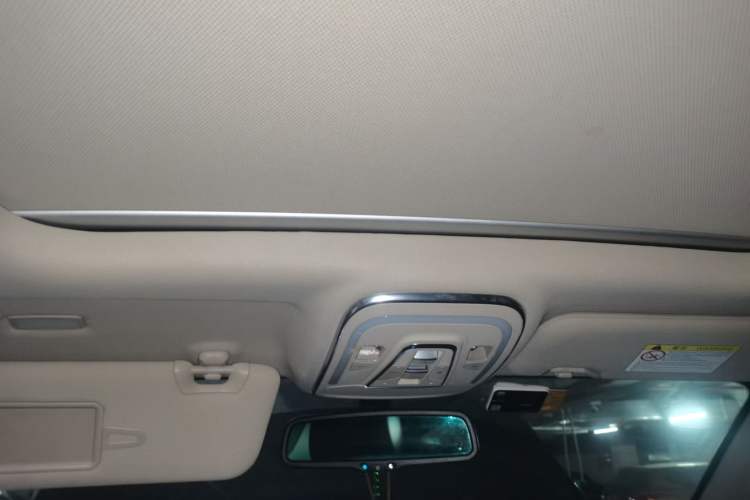 Used BYD Tang New Energy 2017 2.0T All-Wheel Drive Hyatt Model Headliner