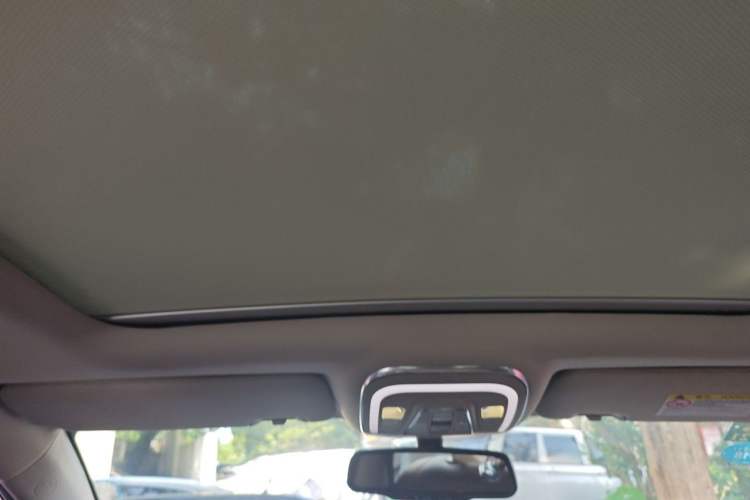 Used BYD Tang New Energy 2017 2.0T Tang 100 Headliner